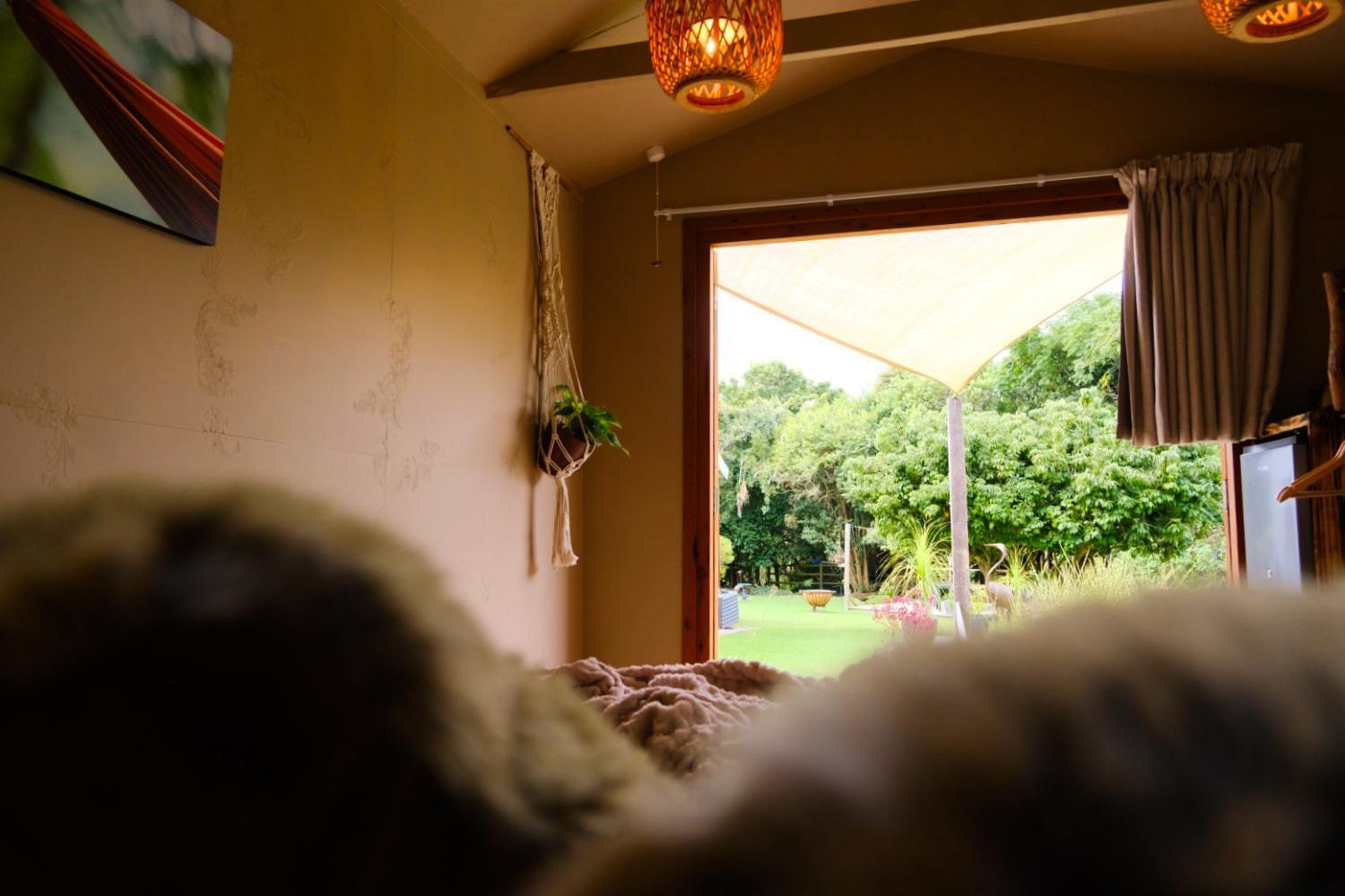Bwhale Guest House B&B Κνύσνα Εξωτερικό φωτογραφία